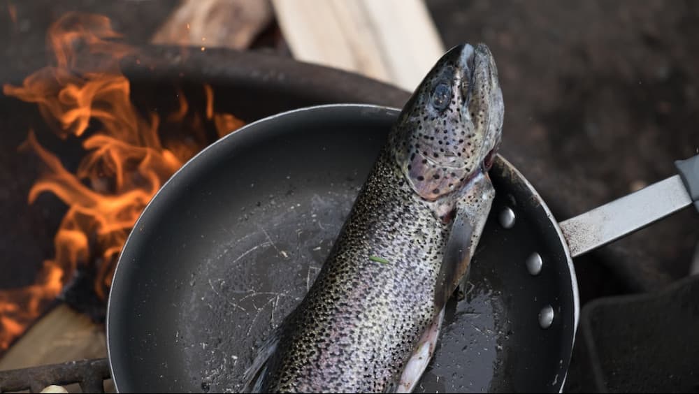 Fishing and Cooking Guide