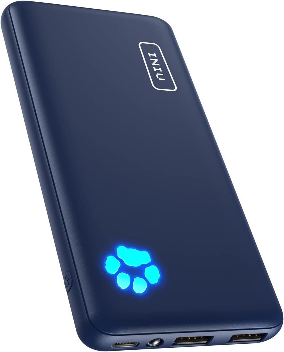 INIU Portable Charger